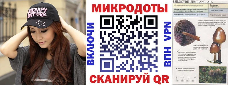 где можно купить наркотик  Агидель  Галлюциногенные грибы Psilocybine cubensis 